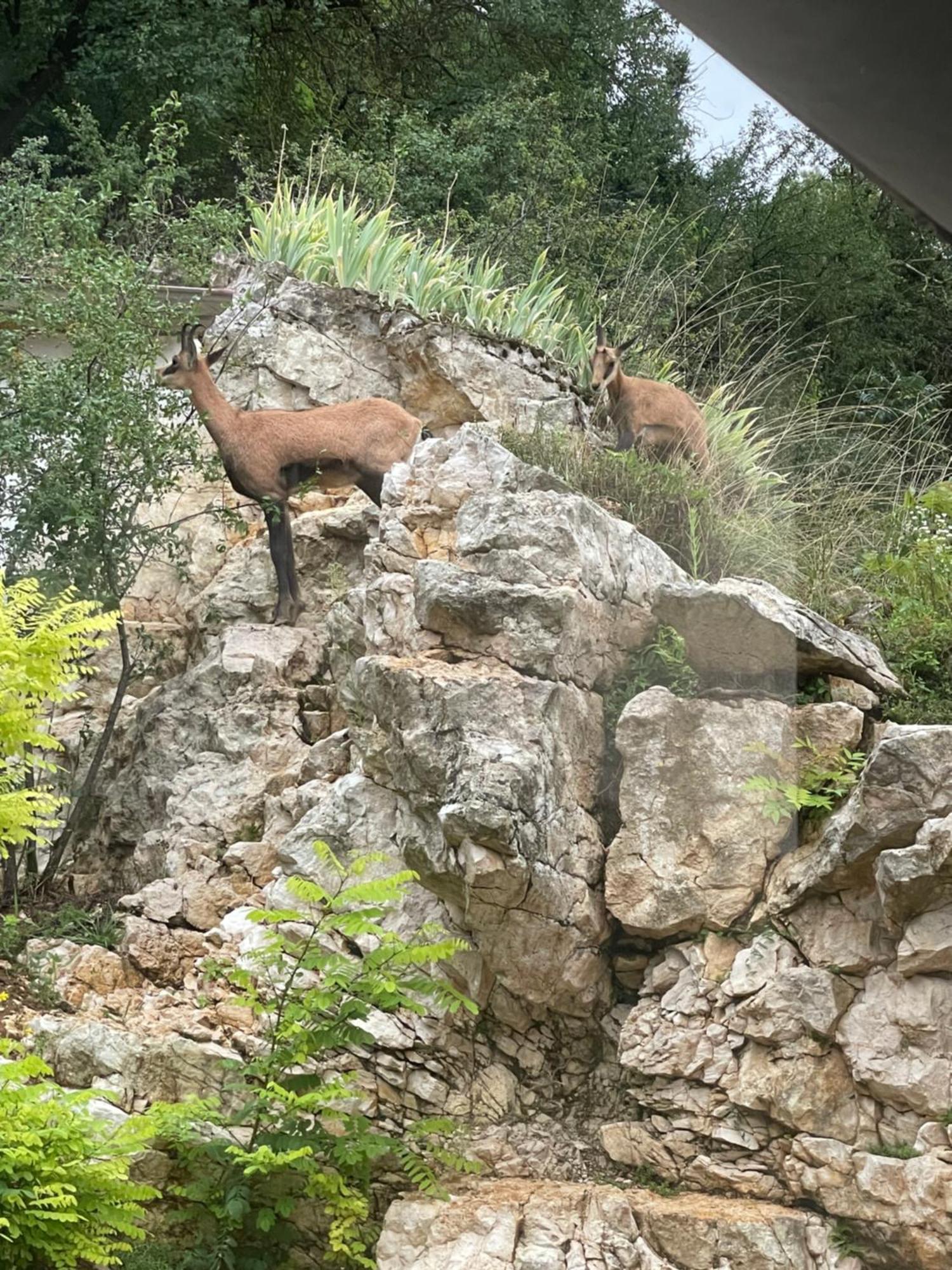Maison Au Bord De L'Eau Les Roches Rochefort-sur-Nenon Eksteriør billede